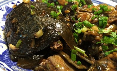 红烧甲鱼最正宗的做法视频,甲鱼排骨汤功效与作用做法