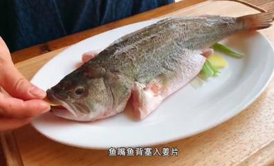 鲈鱼是淡水鱼还是海鱼,广东鲈鱼是淡水鱼还是海鱼