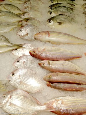 白鲳鱼和银鲳鱼的区别,银鲳鱼跟白鲳鱼什么区别