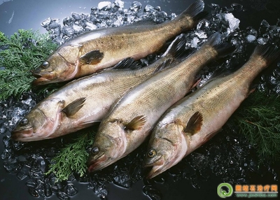 金枪鱼的营养价值及功效,金枪鱼的营养价值及功效禁忌