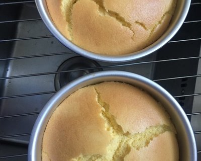 烤箱蛋糕的做法家用,简单烤箱蛋糕的做法