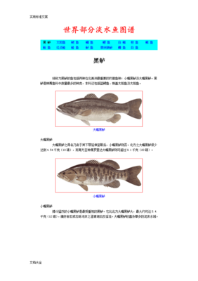中国常见淡水鱼图谱,中国常见淡水鱼图谱图片