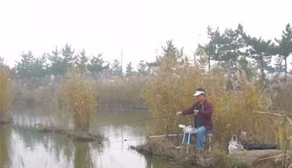 秋季怎么钓鱼,秋季怎么钓鱼容易上钩