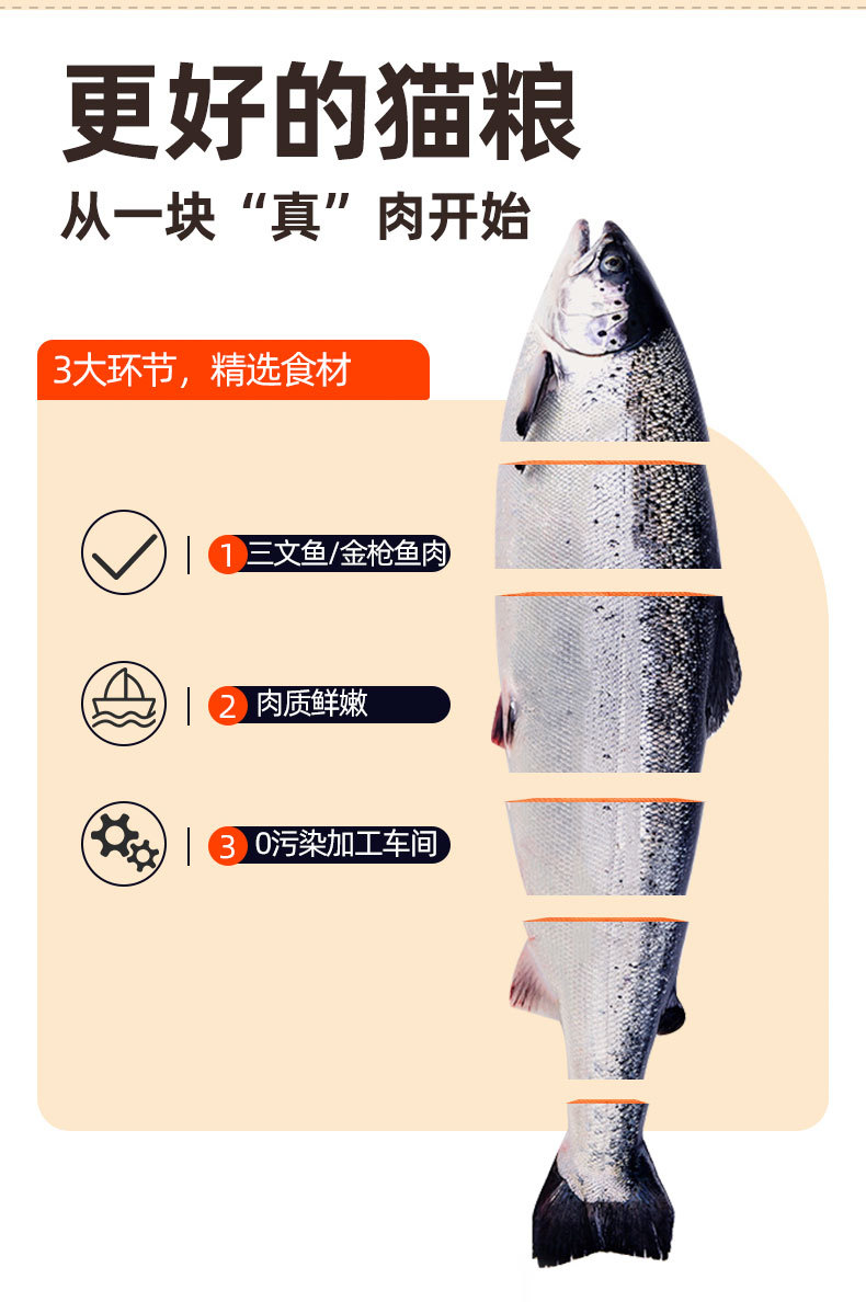 金枪鱼和三文鱼的区别,金枪鱼和三文鱼的区别在哪