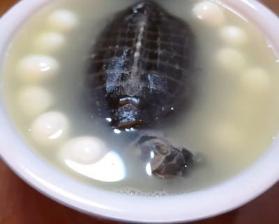 炖甲鱼汤最简单的做法,炖甲鱼的配方
