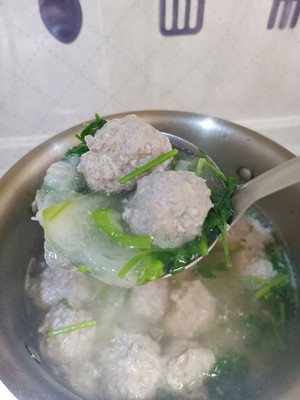 冬瓜丸子汤的做法,冬瓜丸子汤的做法和配料