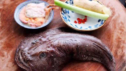 中国人为什么不吃安康鱼,安康鱼是食人鱼吗