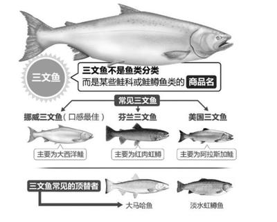 虹鳟鱼和三文鱼对比,虹鳟鱼和三文鱼哪个营养价值更高