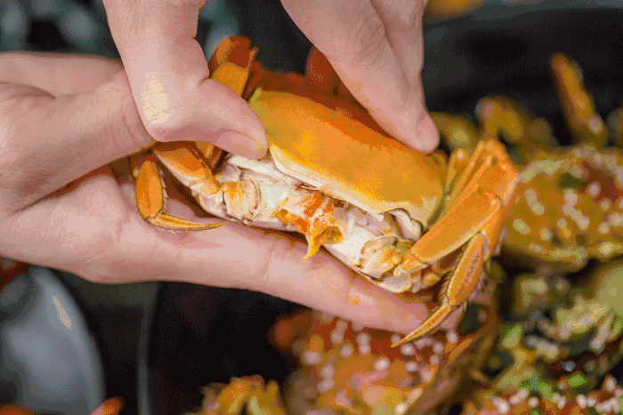 螃蟹的吃法图解,螃蟹的真确吃法