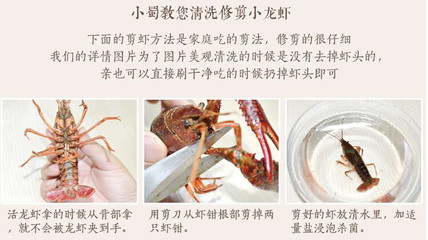 小龙虾的清洗方法图解的简单介绍
