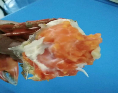 螃蟹怎么去内脏图解,怎样去螃蟹的内脏