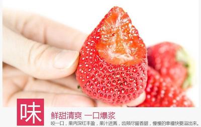 草莓的营养价值,草莓的营养价值与食用功效