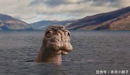 喀纳斯湖怪并非哲罗鲑,喀纳斯湖里面的怪物长什么样