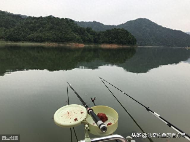 达奇钓鱼网app下载,达奇钓鱼网站