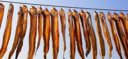 市场上常见的海鱼,市场上常见的海鱼品种图片