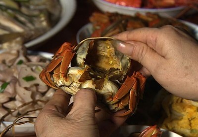 螃蟹和什么不能一起吃,螃蟹和什么不能一起吃会中毒