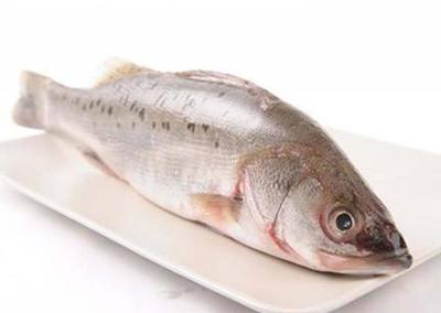 海鲈鱼和淡水鲈鱼的区别哪个好吃,海鲈鱼和淡水鲈鱼的区别哪个好吃点