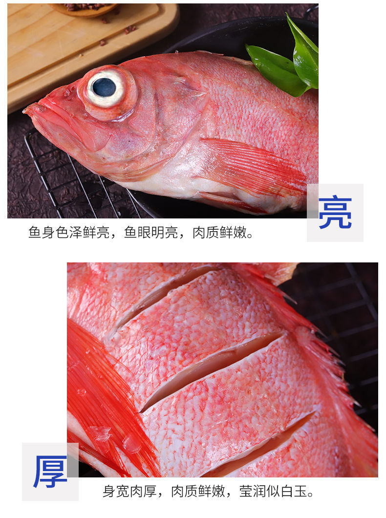 红斑鱼,红斑鱼是什么鱼
