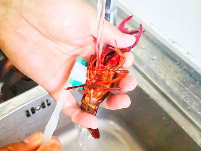 小龙虾的清洗方法图解,包小龙虾方法图解