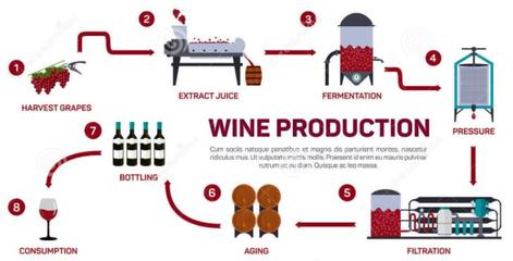 如何制作葡萄酒步骤图,如何制作葡萄酒?
