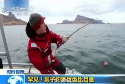 中国钓鱼频道网,中国钓鱼网官网