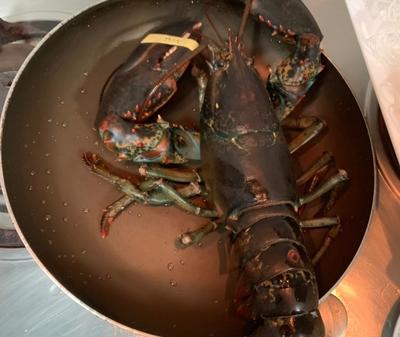 波士顿龙虾的八种做法,蒜蓉清蒸波士顿龙虾