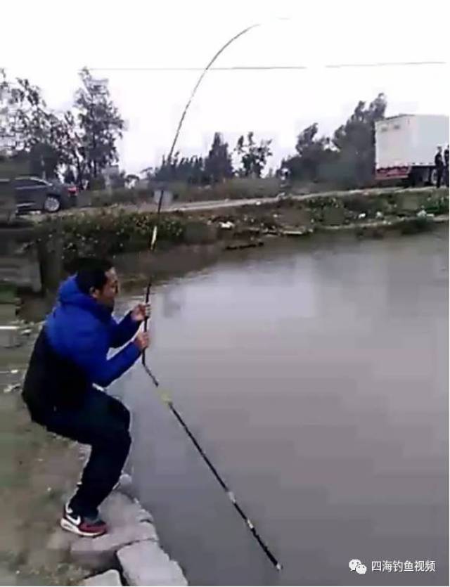 四海钓鱼视频哪去了,四海钓鱼视频直播视频钓鱼