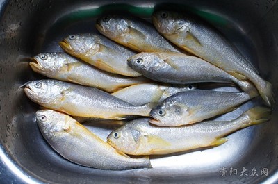 黄花鱼的烹饪方法,黄花鱼的烹饪方法有几种